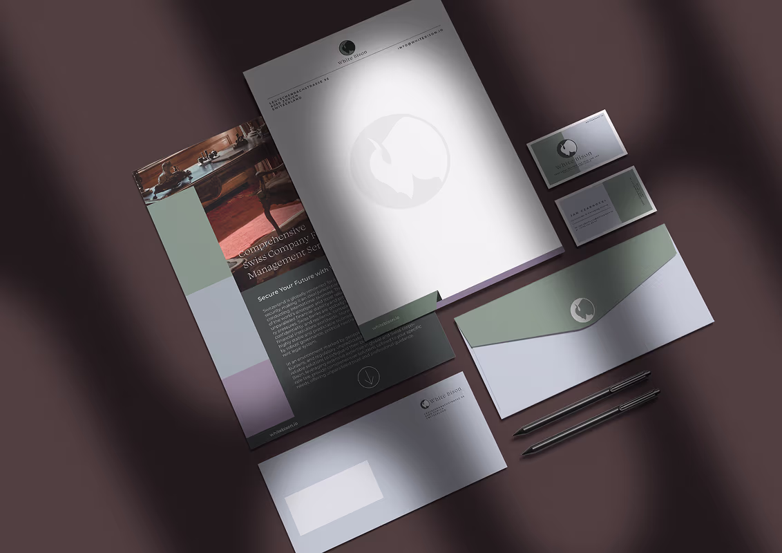 Corporate branding materials including letterhead, brochure, envelopes, business cards, and pens arranged on a dark surface with white bison logo.