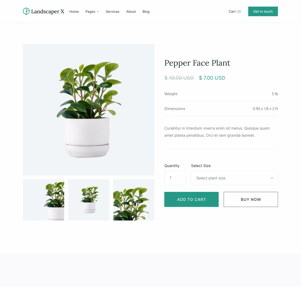 Landscaper X - Shop Single page - Landscaper Webflow Template
