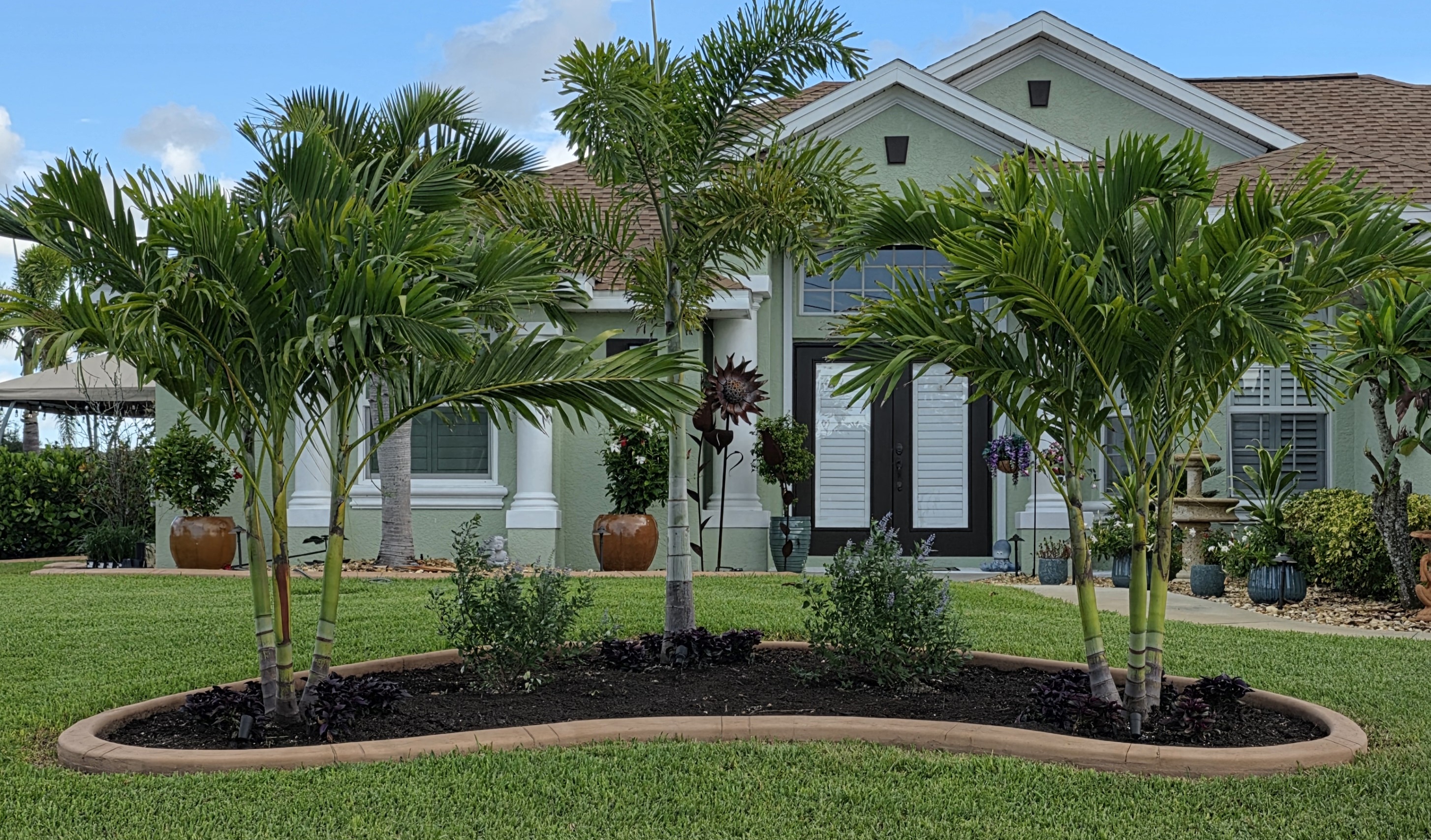 Palmt Tree Installation