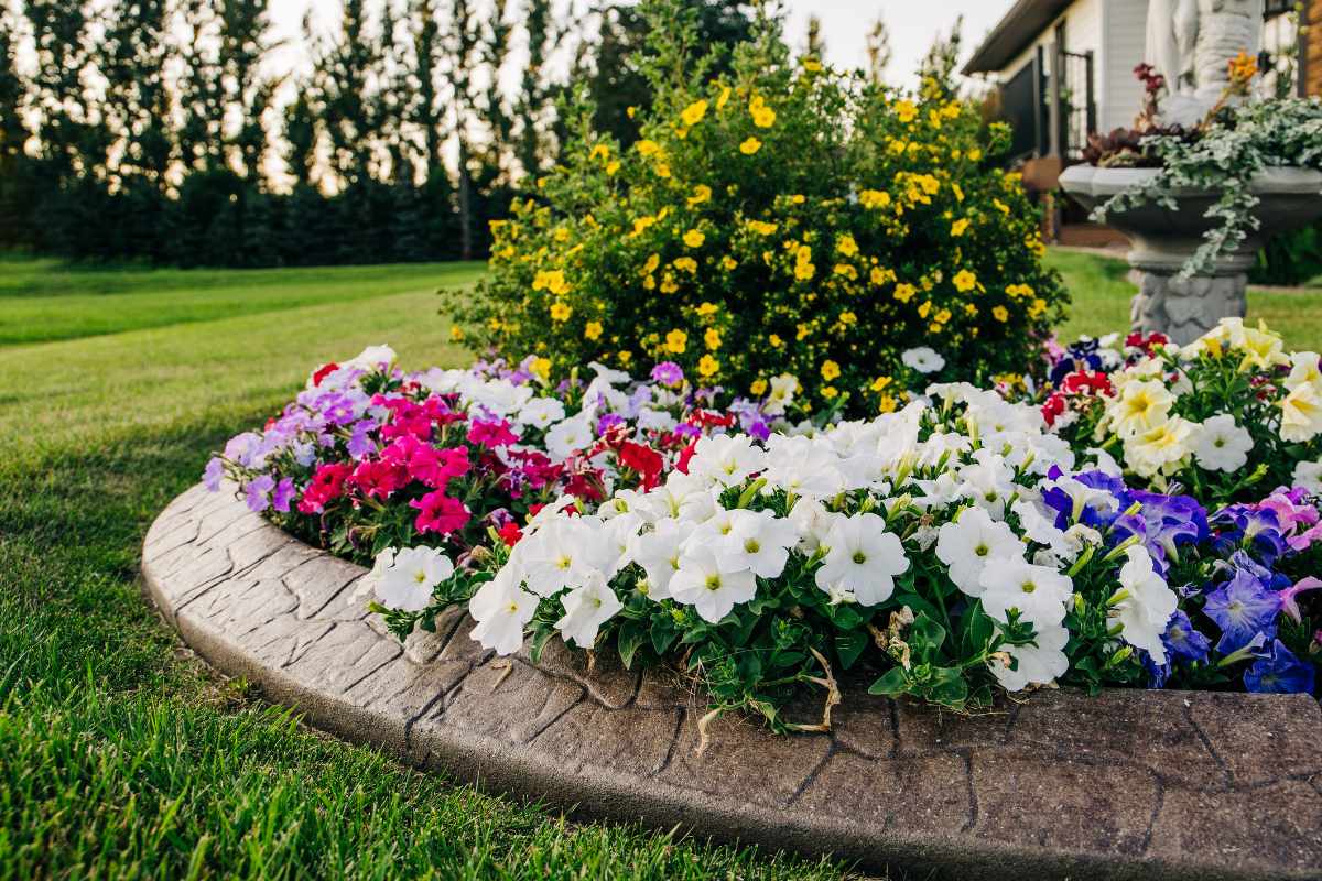 Professional Decorative Curbing Services for Florida Homes