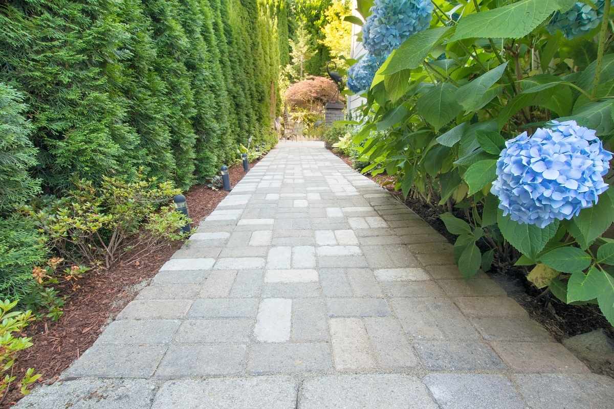 How Paver Walkways Transform the Look and Function of Your Property