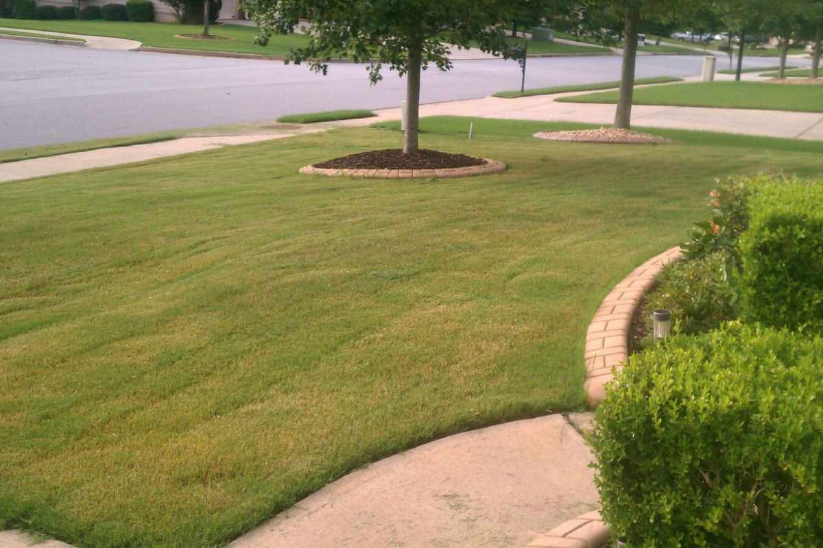 How to Find the Best Concrete Curbing Near You in Southwest Florida