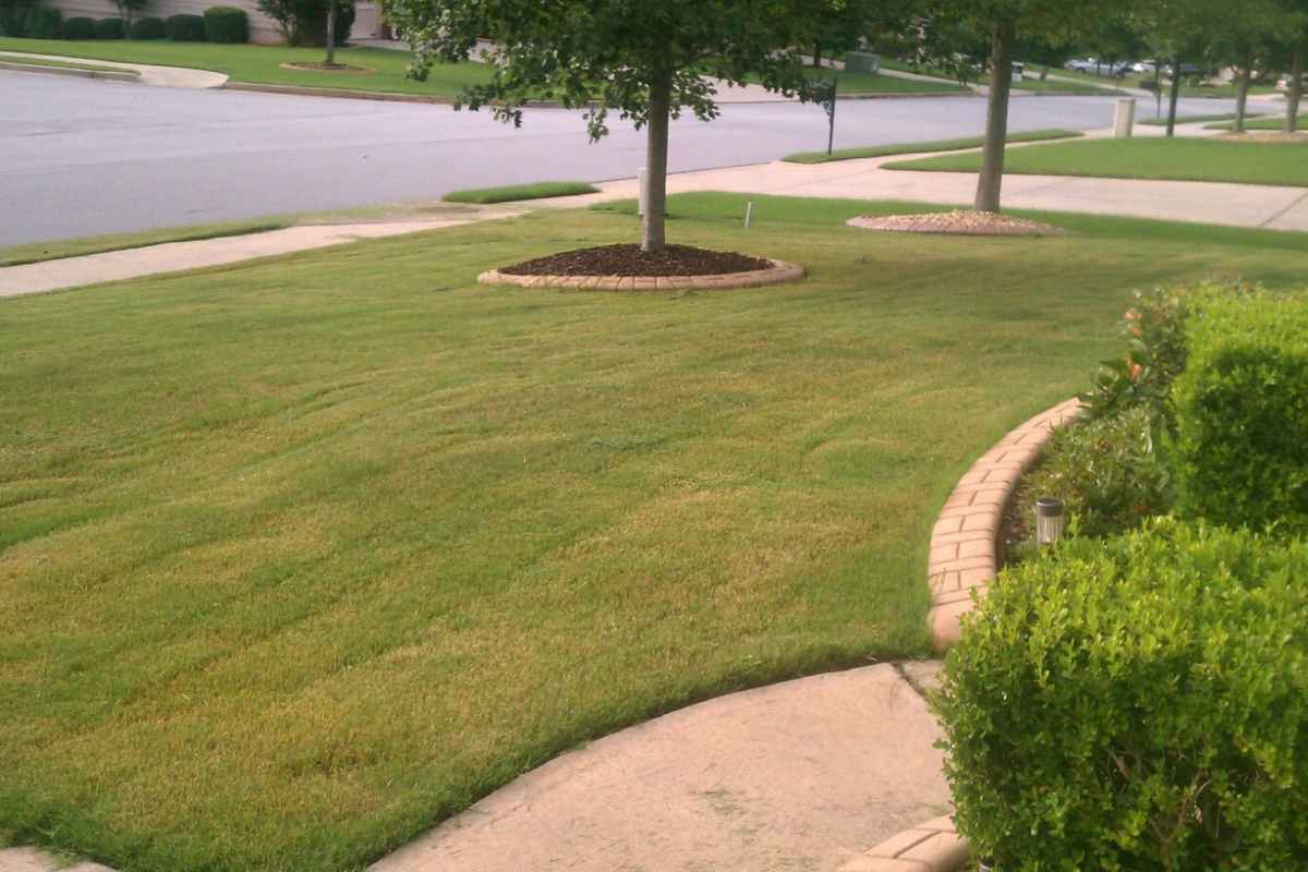 Find Concrete Landscape Curbing Contractors Near Me Easily