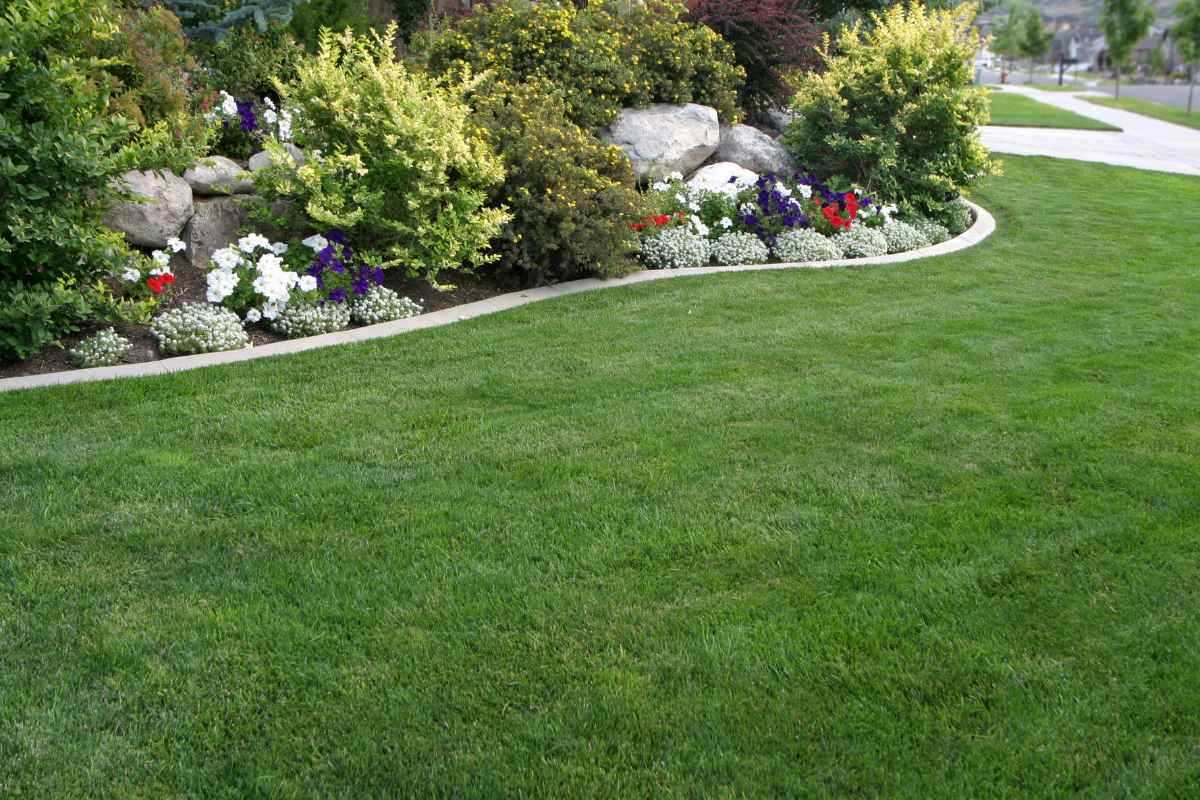custom curbing