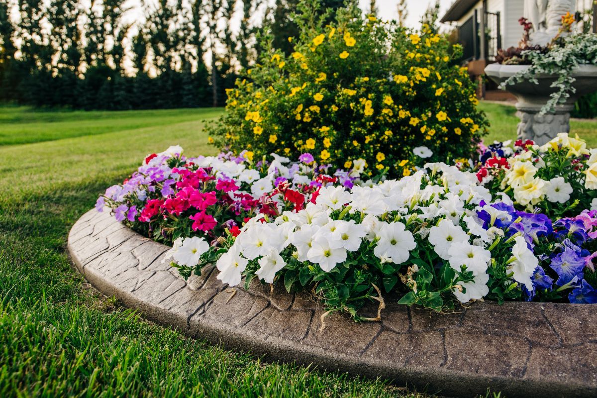 How to Find Concrete Landscape Curbing Contractors Near Me in Port Charlotte FL