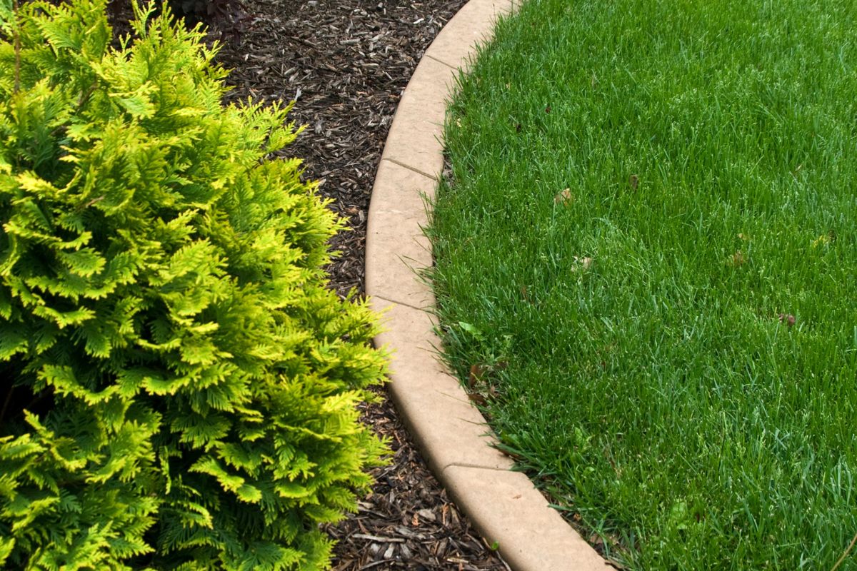 concrete edge landscape