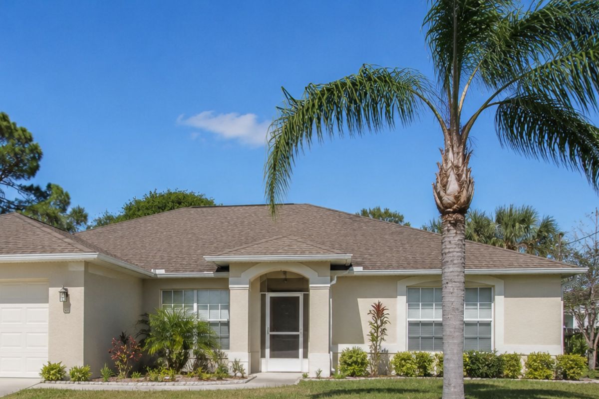 Benefits of tree & palm installation port charlotte