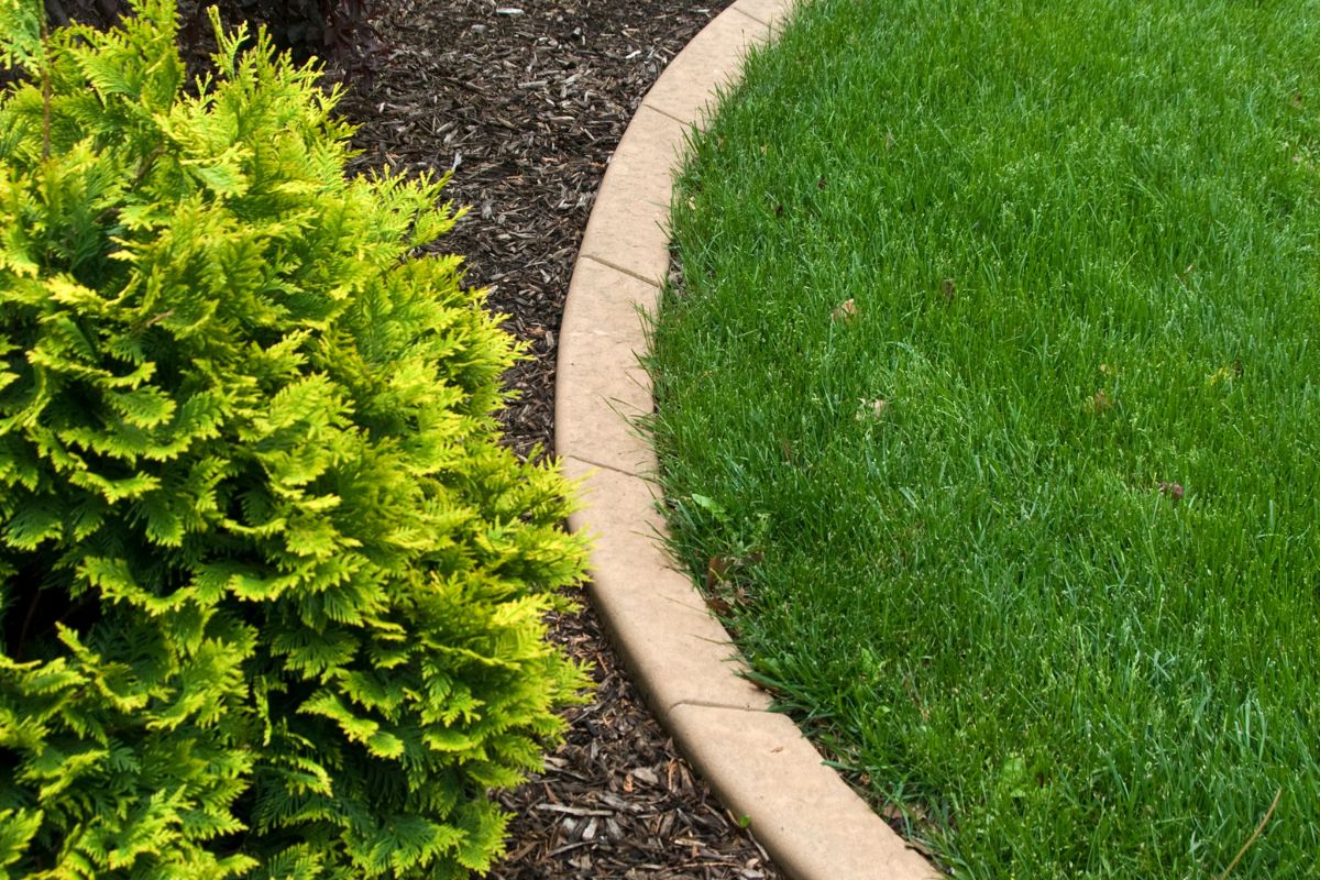 Best Garden Borders in Port Charlotte FL - Choosing the Right Materials