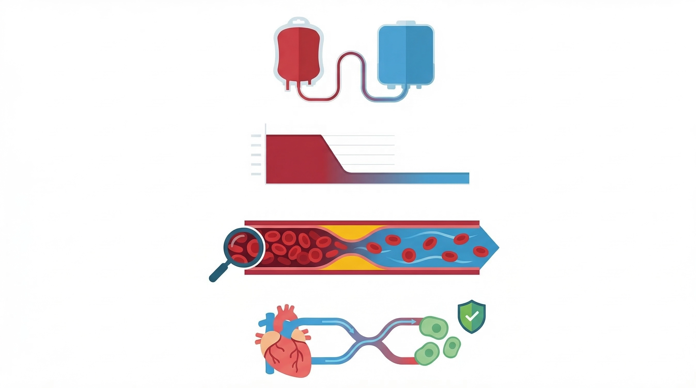 Infografik zum modernen Aderlass: Illustration des Verfahrens zur Verbesserung der Blutviskosität sowie zum Schutz von Herz und Zellen.