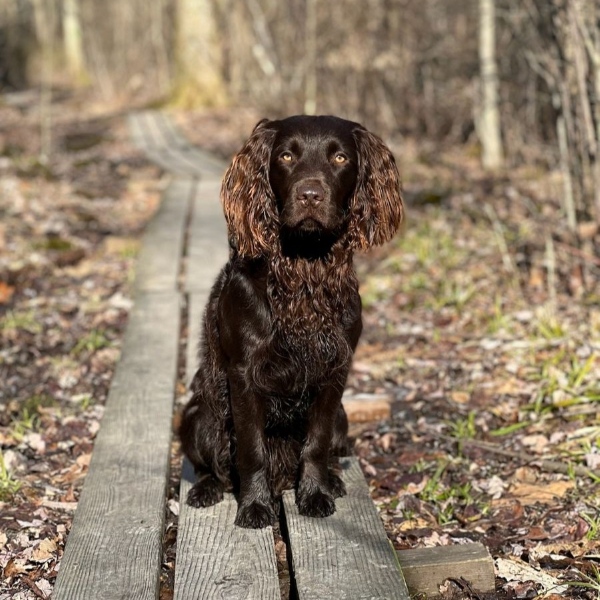 Voted best fly fishing lodge by Orvis