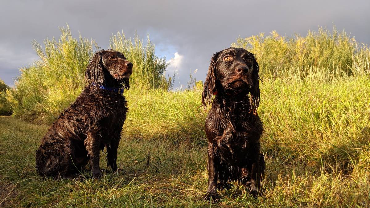 The Madison Valley Ranch is a fly fishing lodge located on the Madison River.