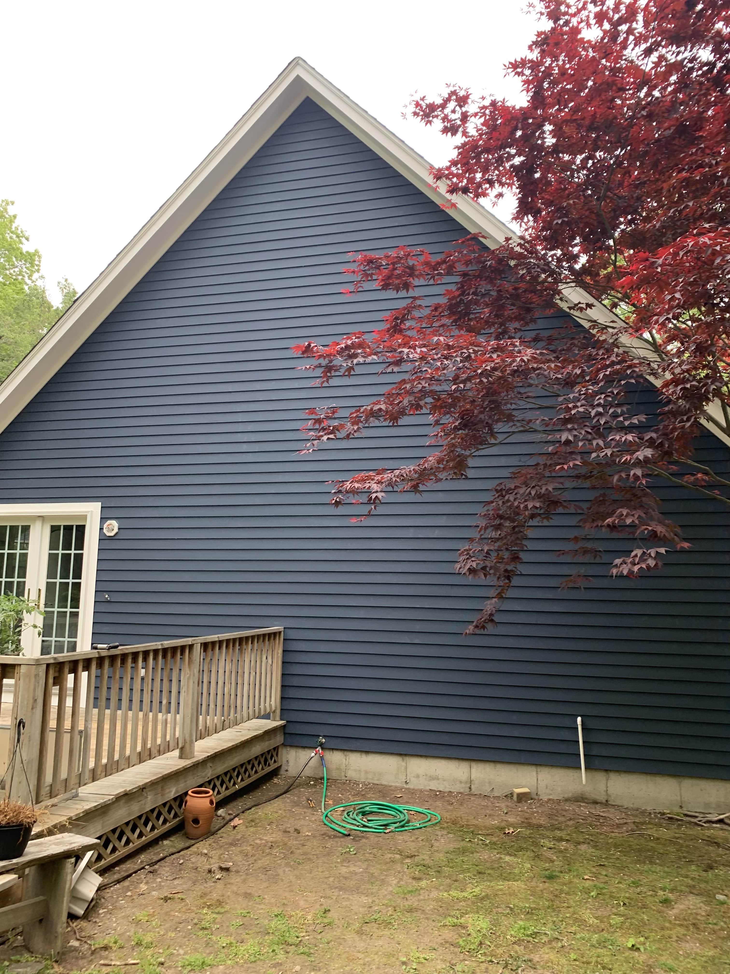 decor element highlight