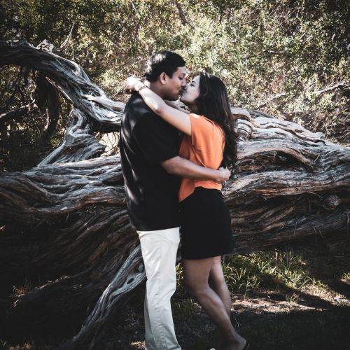 [background image] image of bustling food truck scene