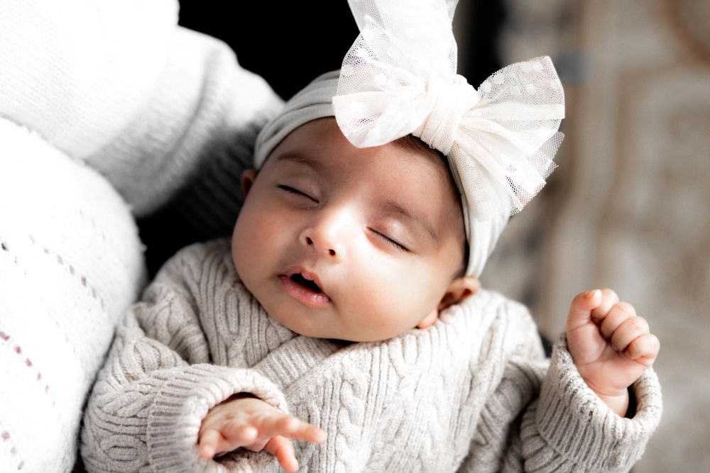 image of traditional chinese medicine ingredients