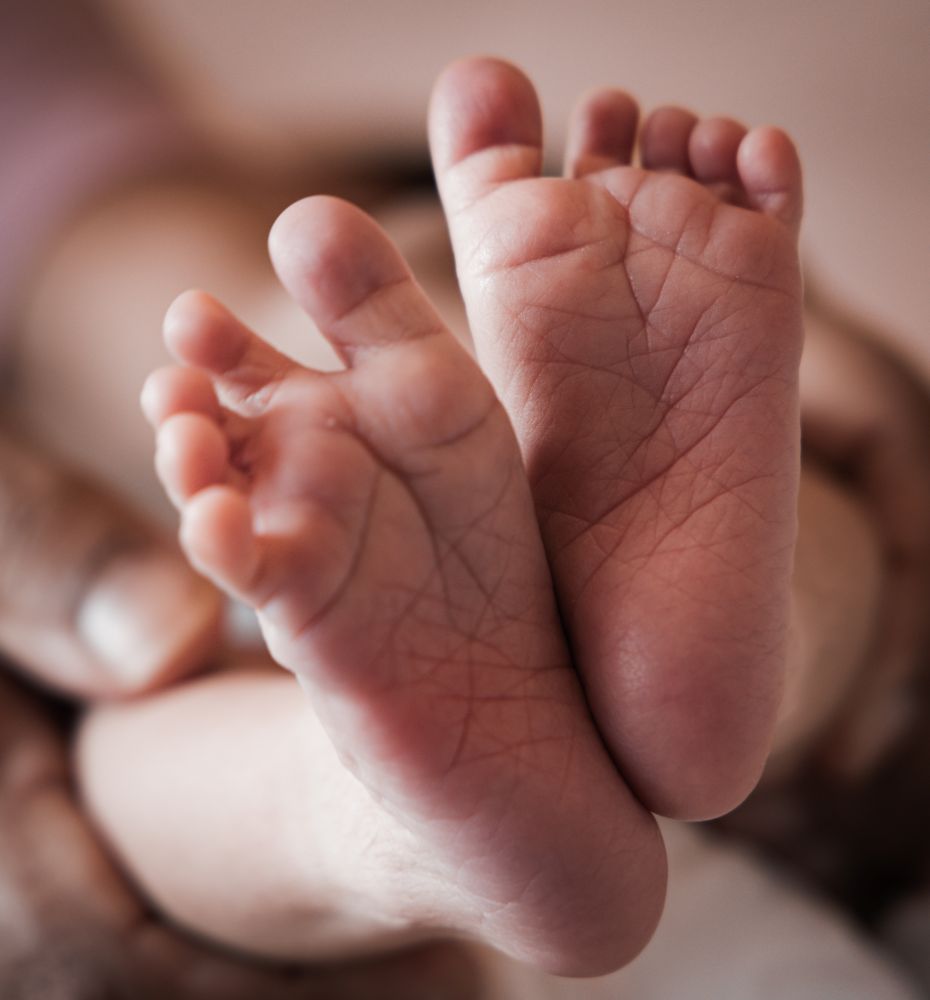 image of wedding catering display