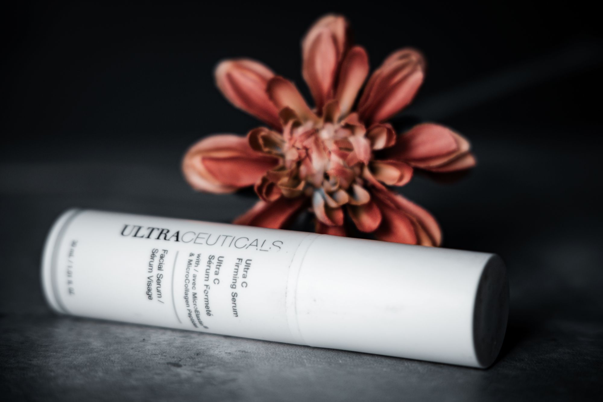 image of a volunteer observing wildlife, contributing to a conservation project.