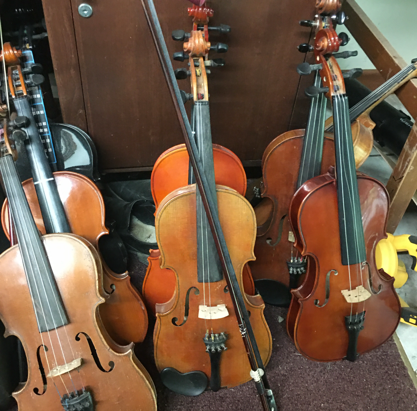Repaired fiddles ready for sale at Maple & Spruce