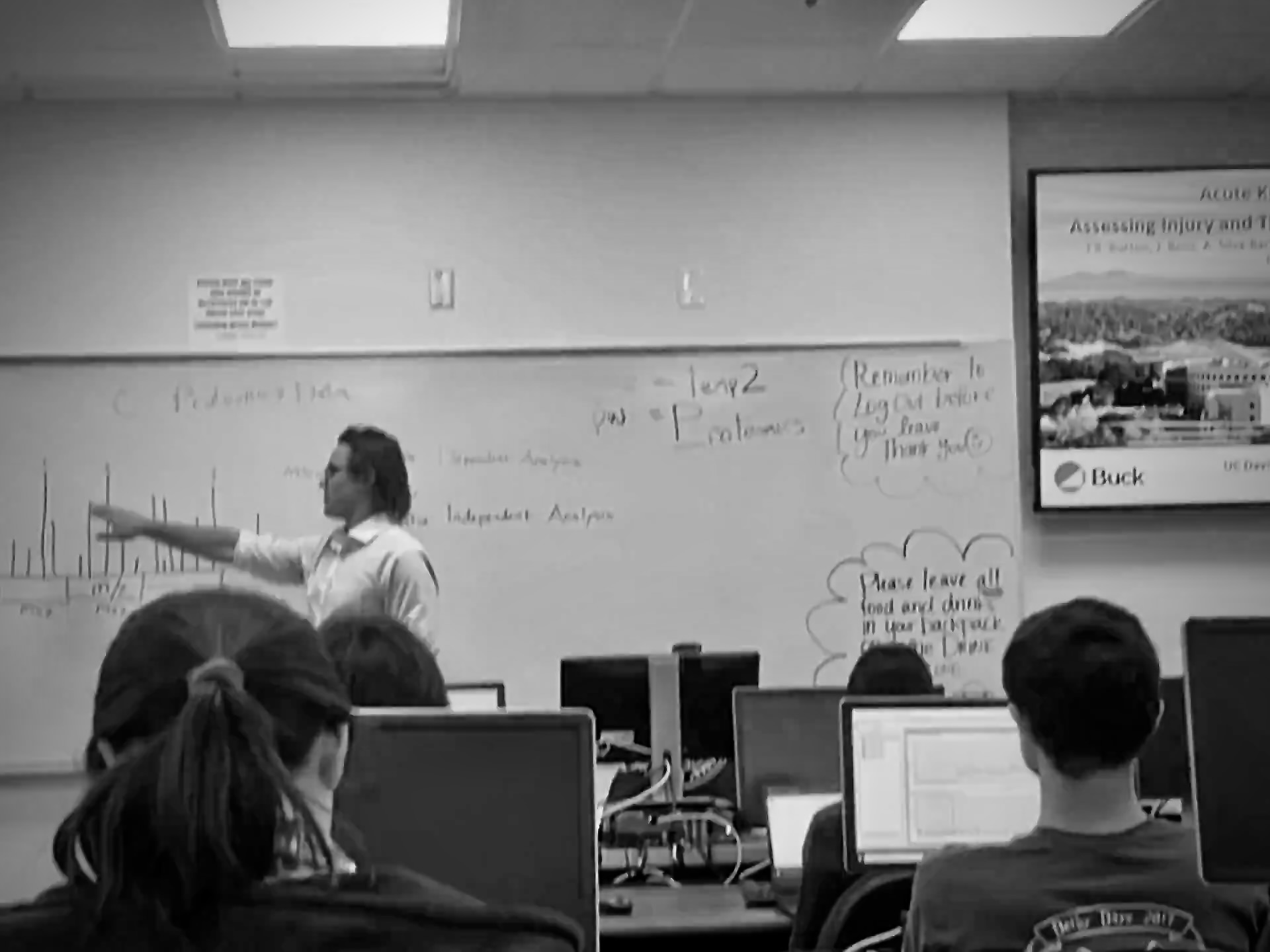 image of crop analysis process