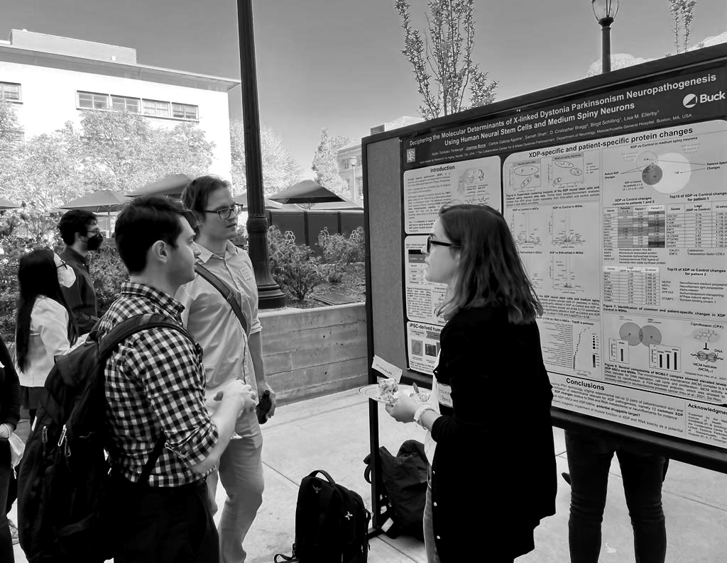 image of brainstorming session