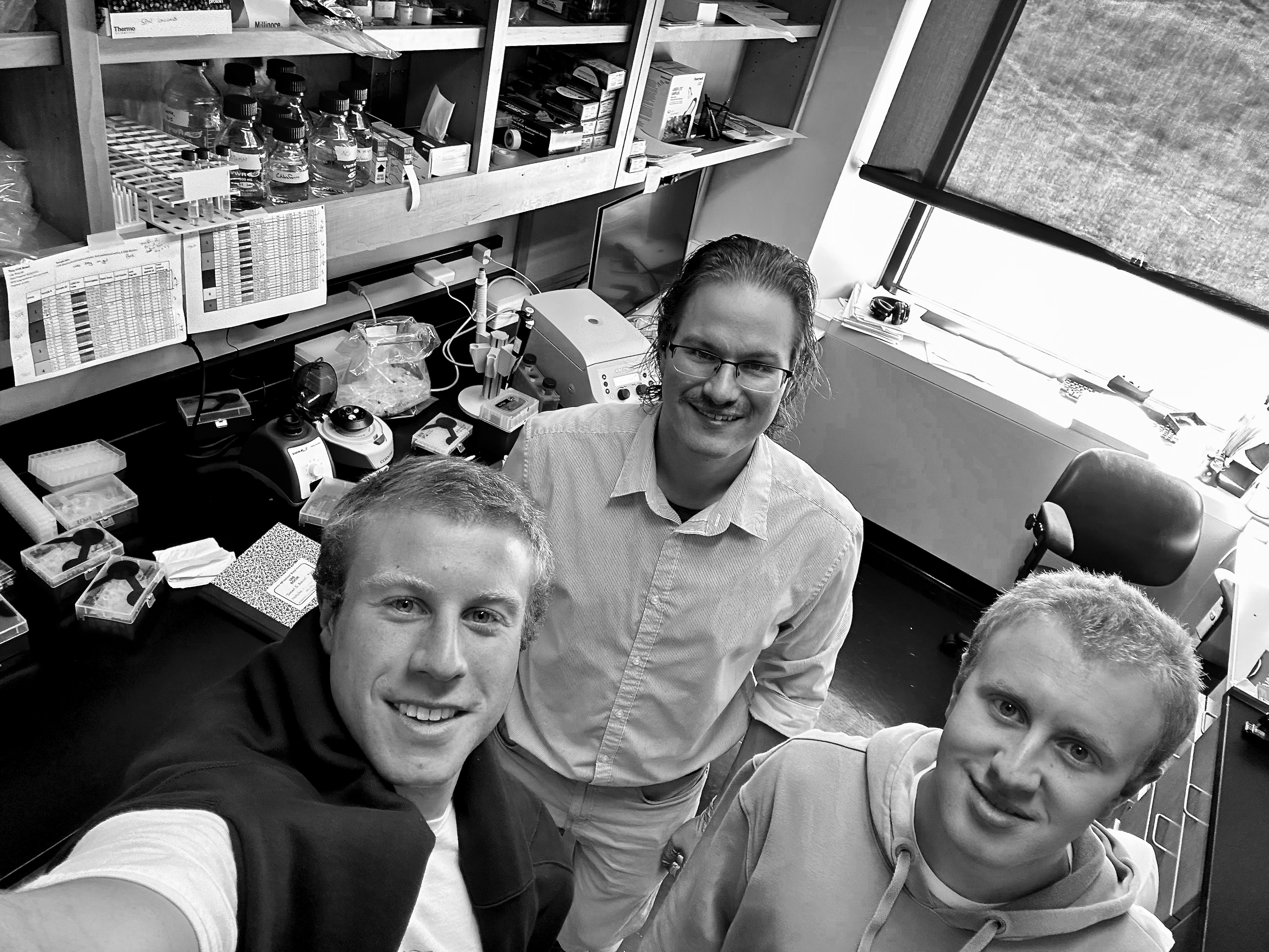 image of team discussion (for a hr tech)