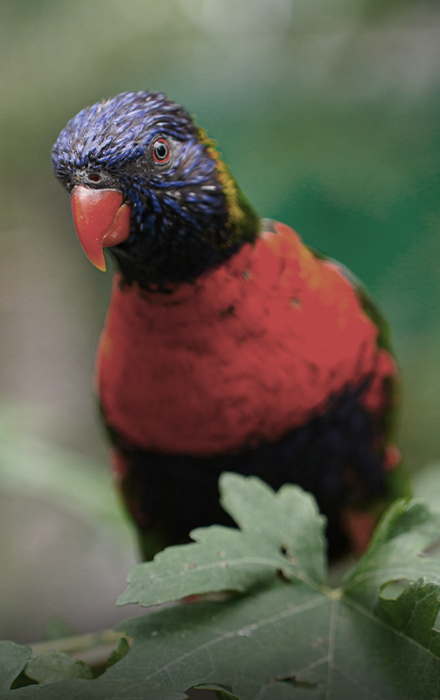 Simon's portfolio category image desaturated.