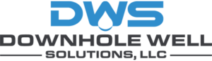 dws logo 