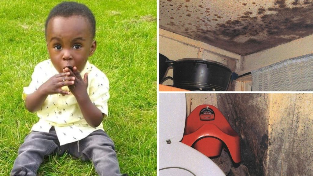 awaabs law pictures of the mould