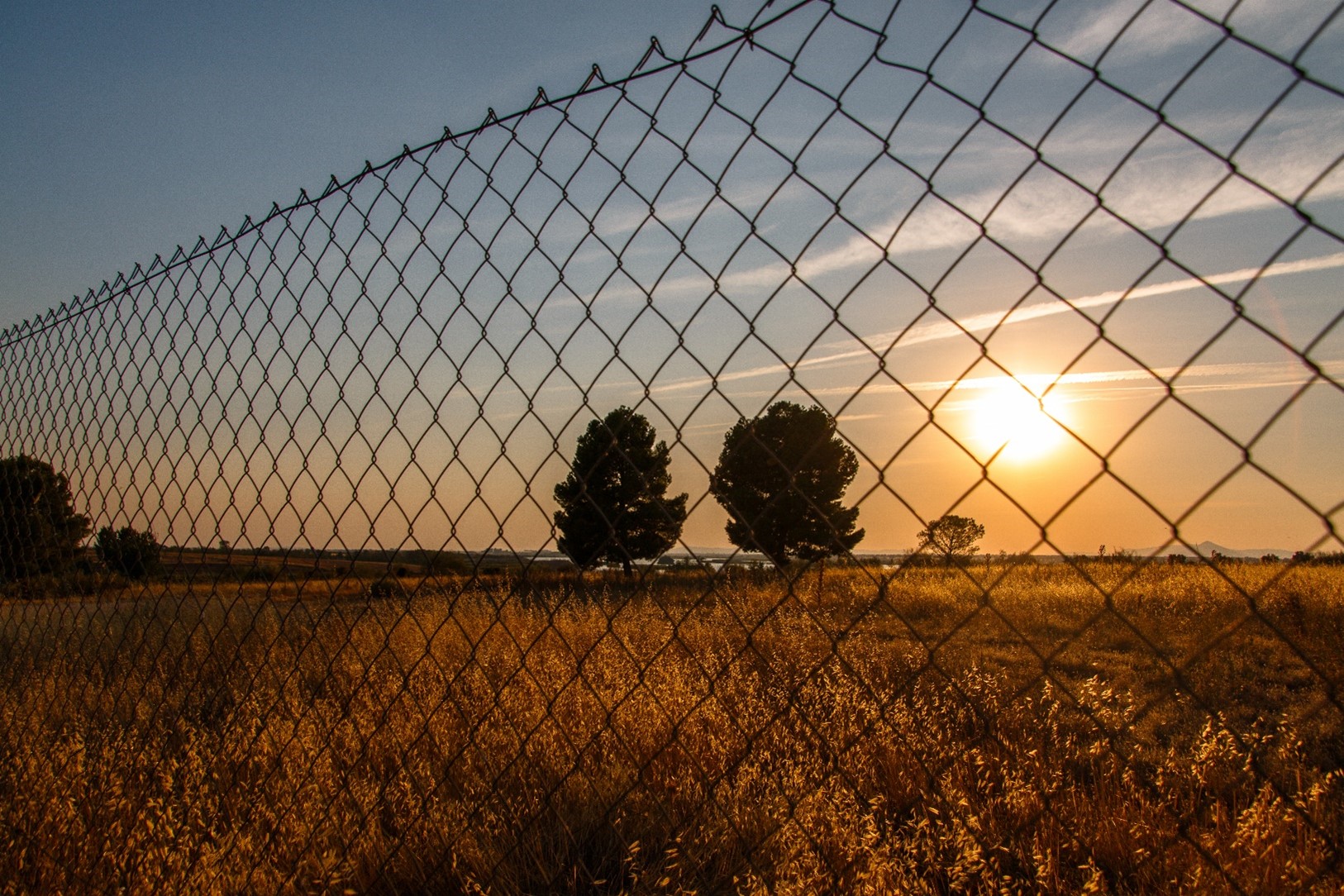 A sun setting over a field, with wired fencing in the foreground.