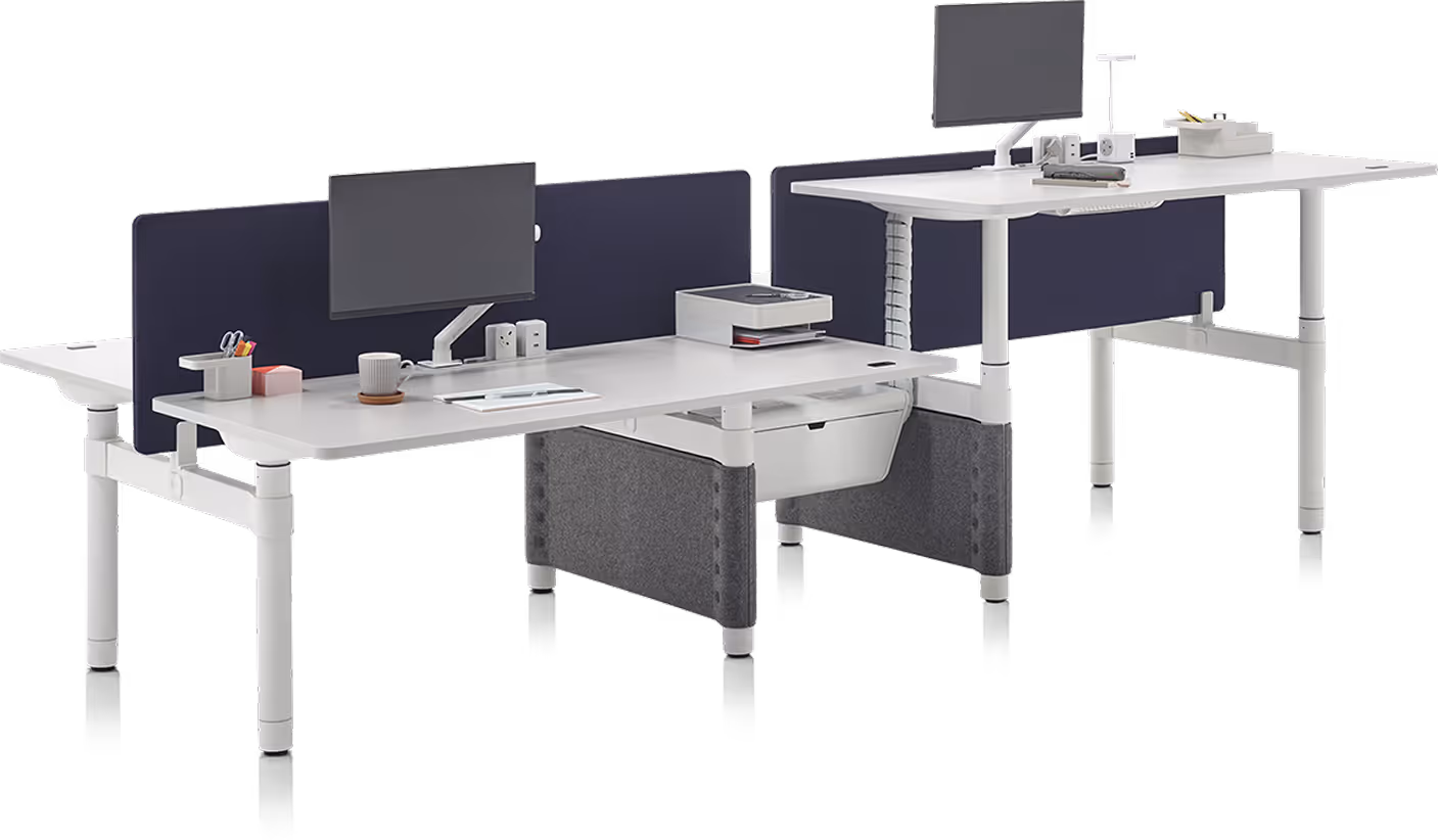 Two white adjustable office desks with dark privacy panels and mounted monitors.