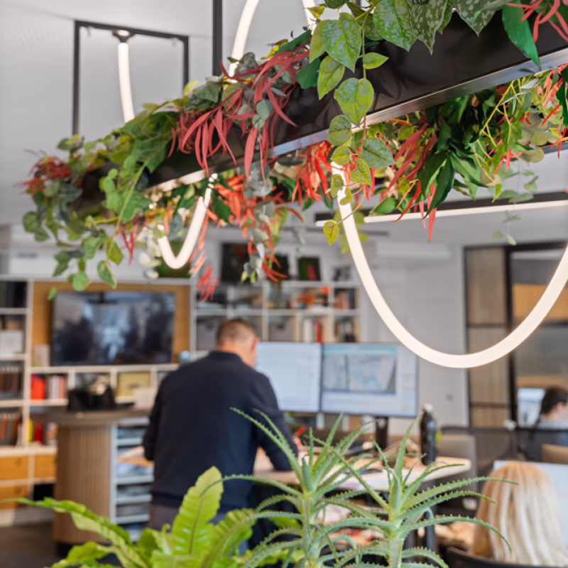 Neurodivergent & Wellness Design