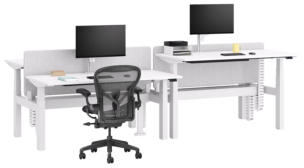 Nevi Sit-to-Stand Desk