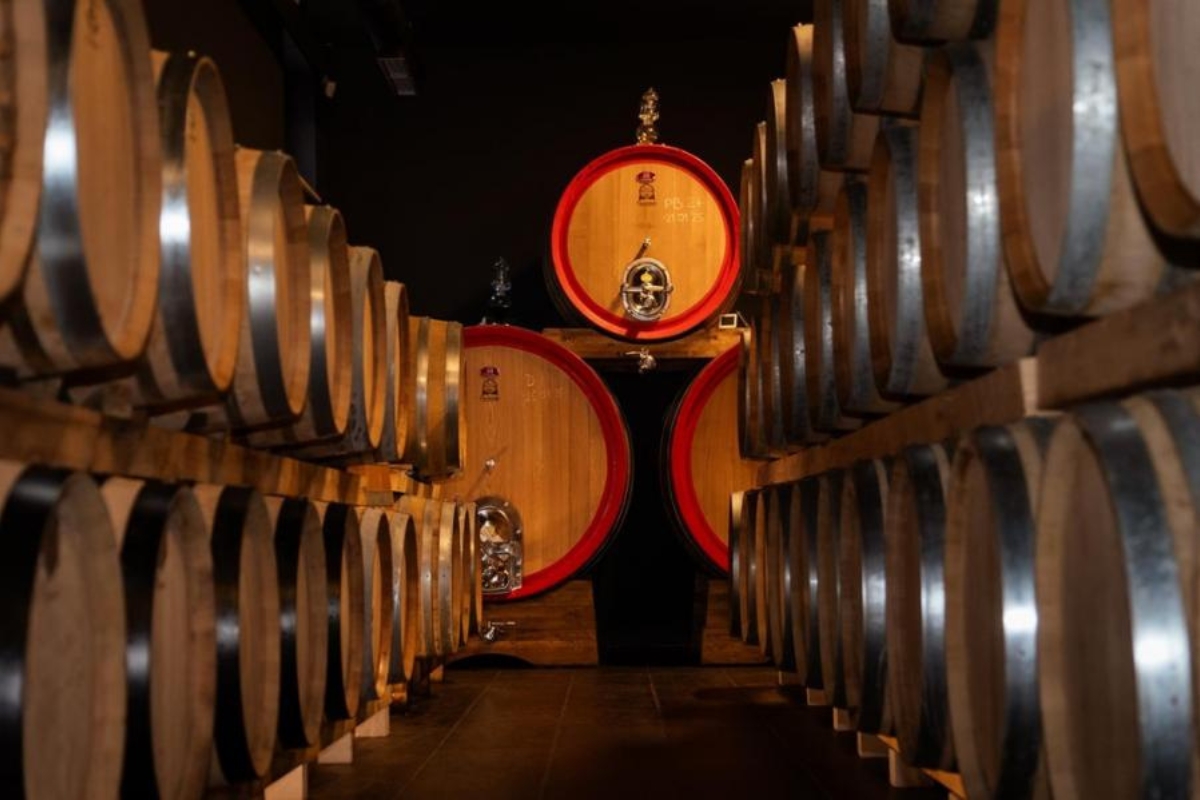 Damjanić Winery  wine cellar