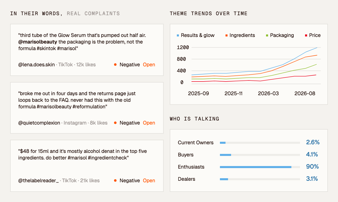 Voice of customer dashboard showing real complaint quotes, theme trends over time and who is talking