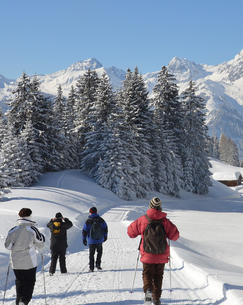 WEF 2026 Hike in Davos Mountains