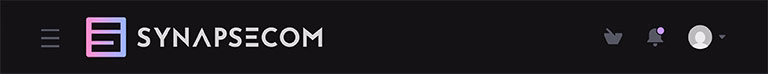 PORTAL | SYNAPSECOM