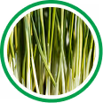 Lemongrass, Nettle Leaf & Dandelion Leaf