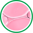 Collagen Peptides