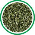Yerba Mate