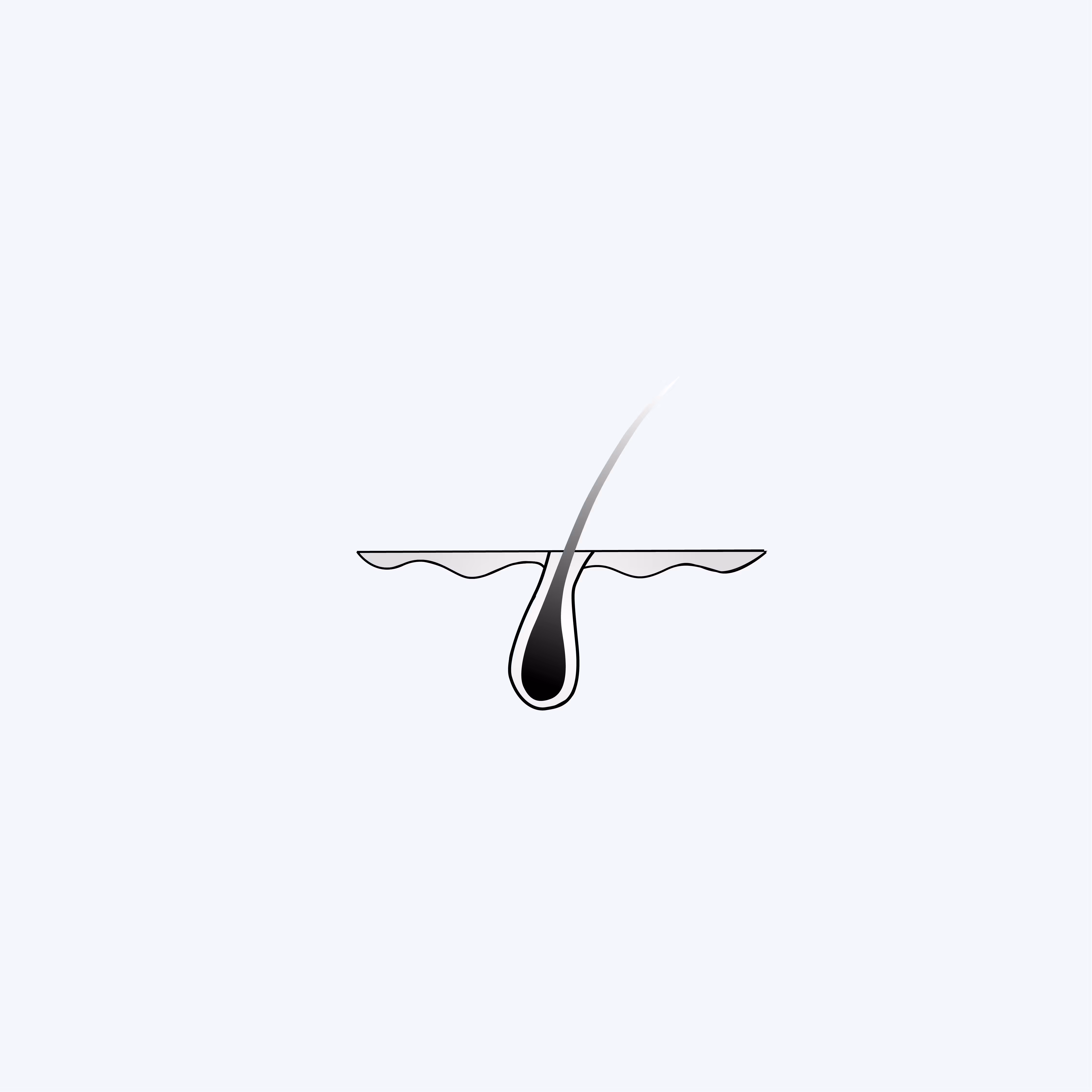 a hair follicle