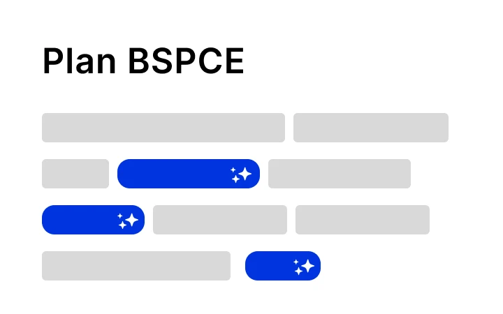 bspce IA