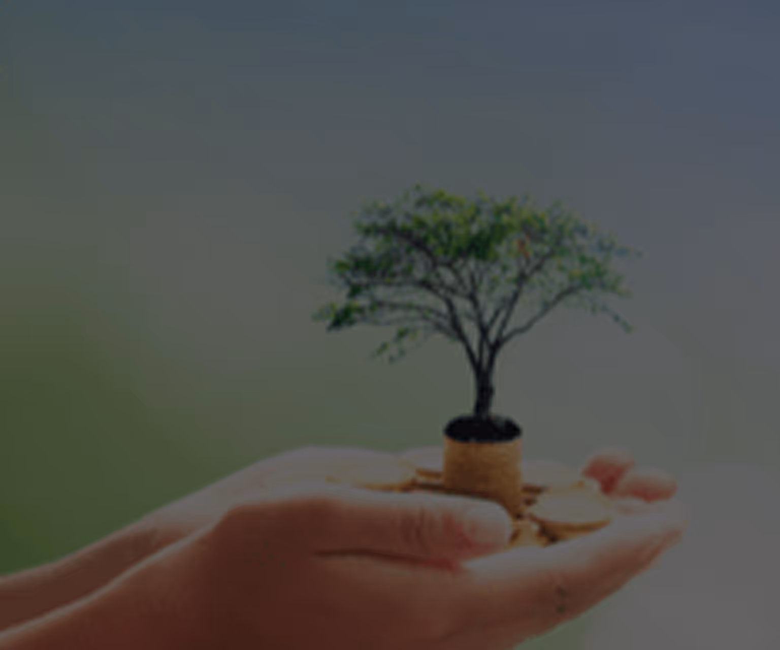 Hands holding a small potted tree growing from gold coins.