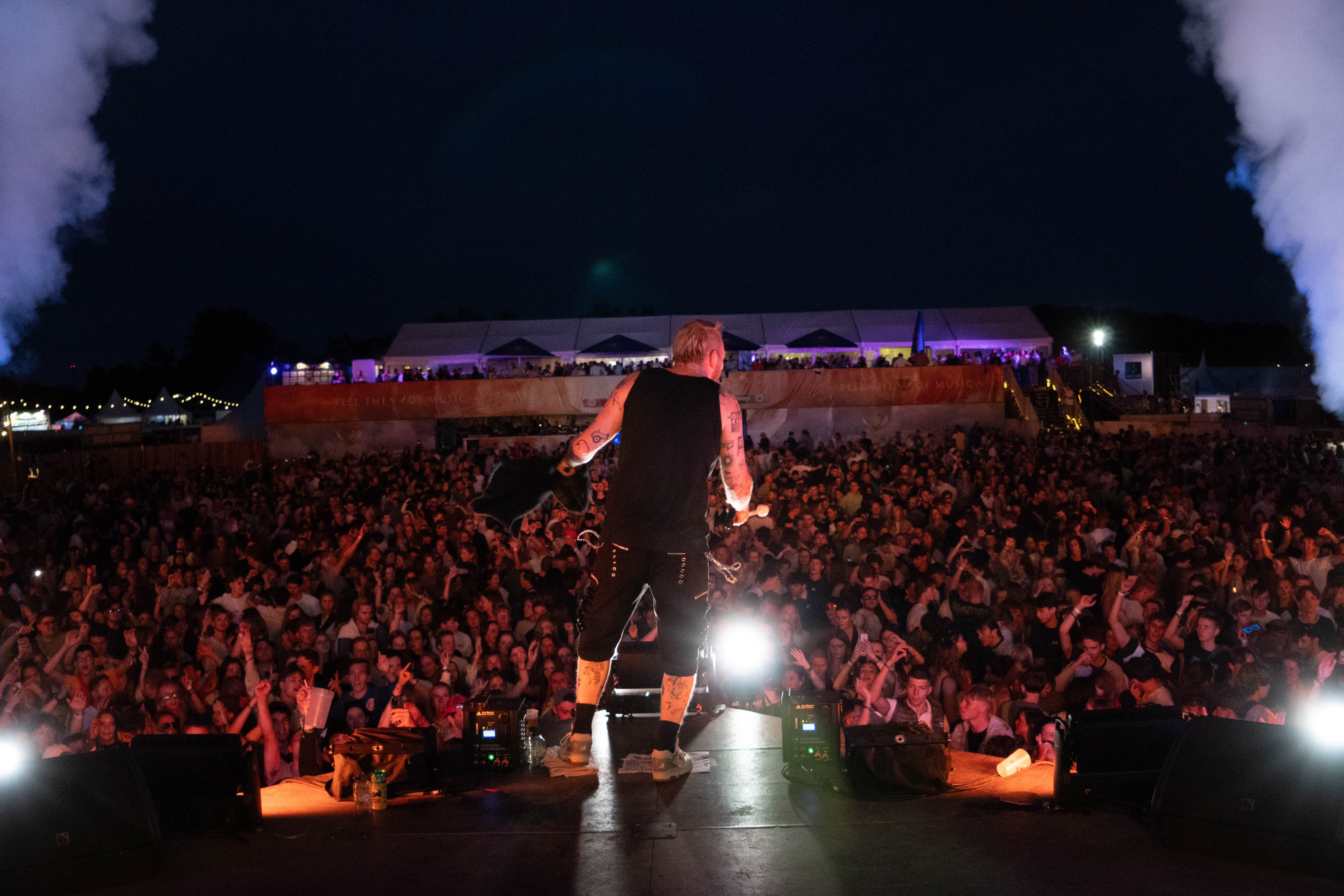 image of a main course assortment (for a chinese restaurant)