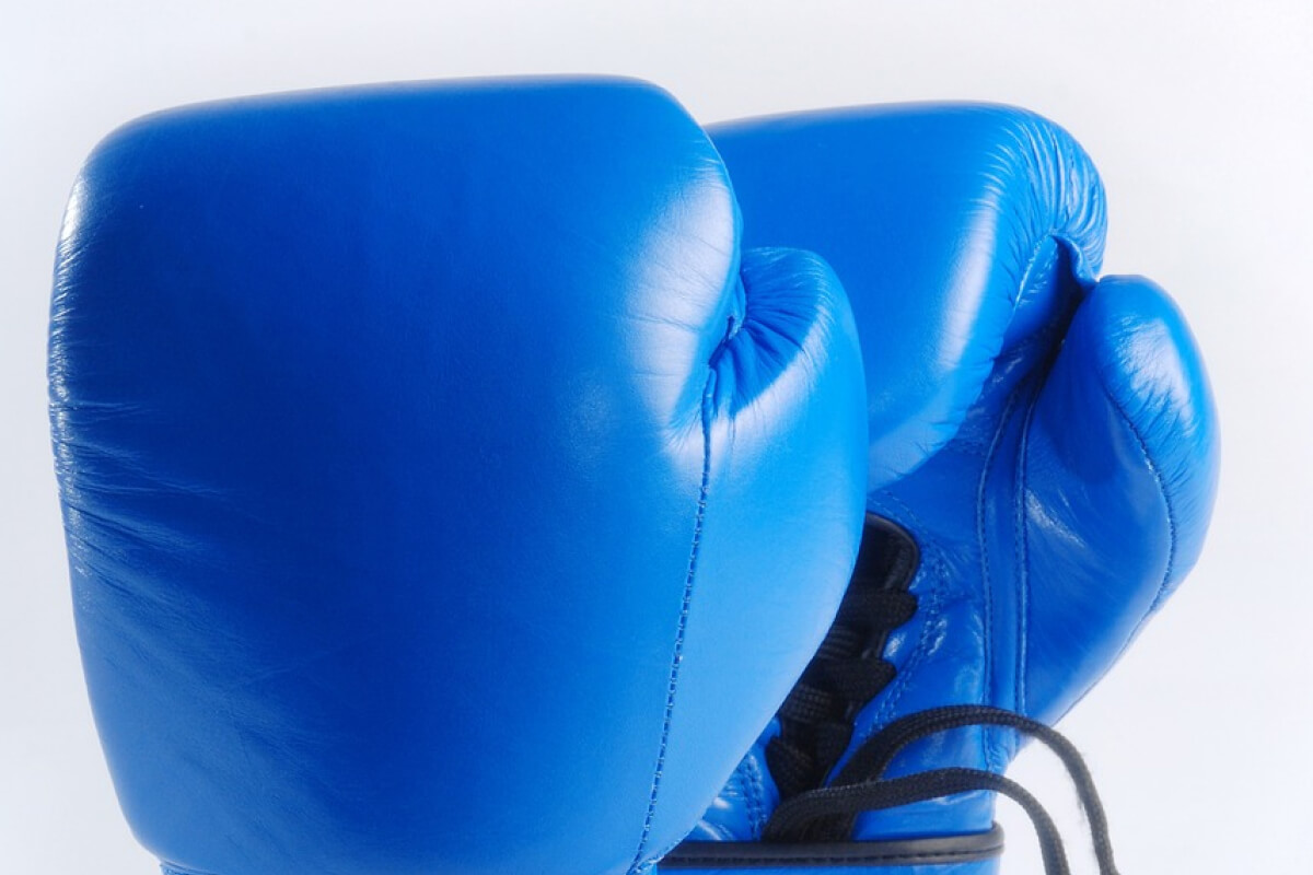 License - Gymfit X Webflow Template