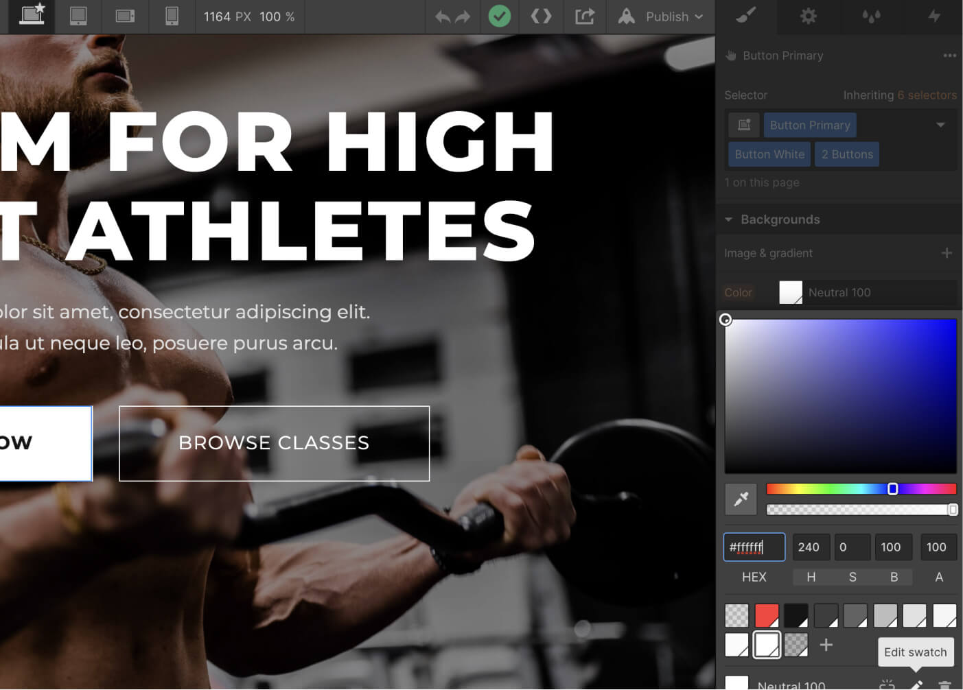 Colors- Gymfit X Webflow Template