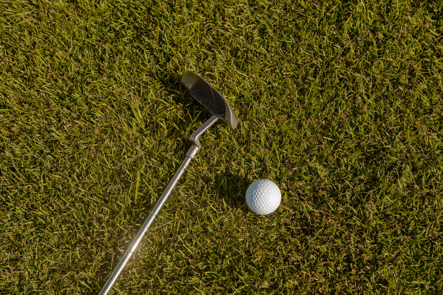 Golf club and golf ball resting on green grass.