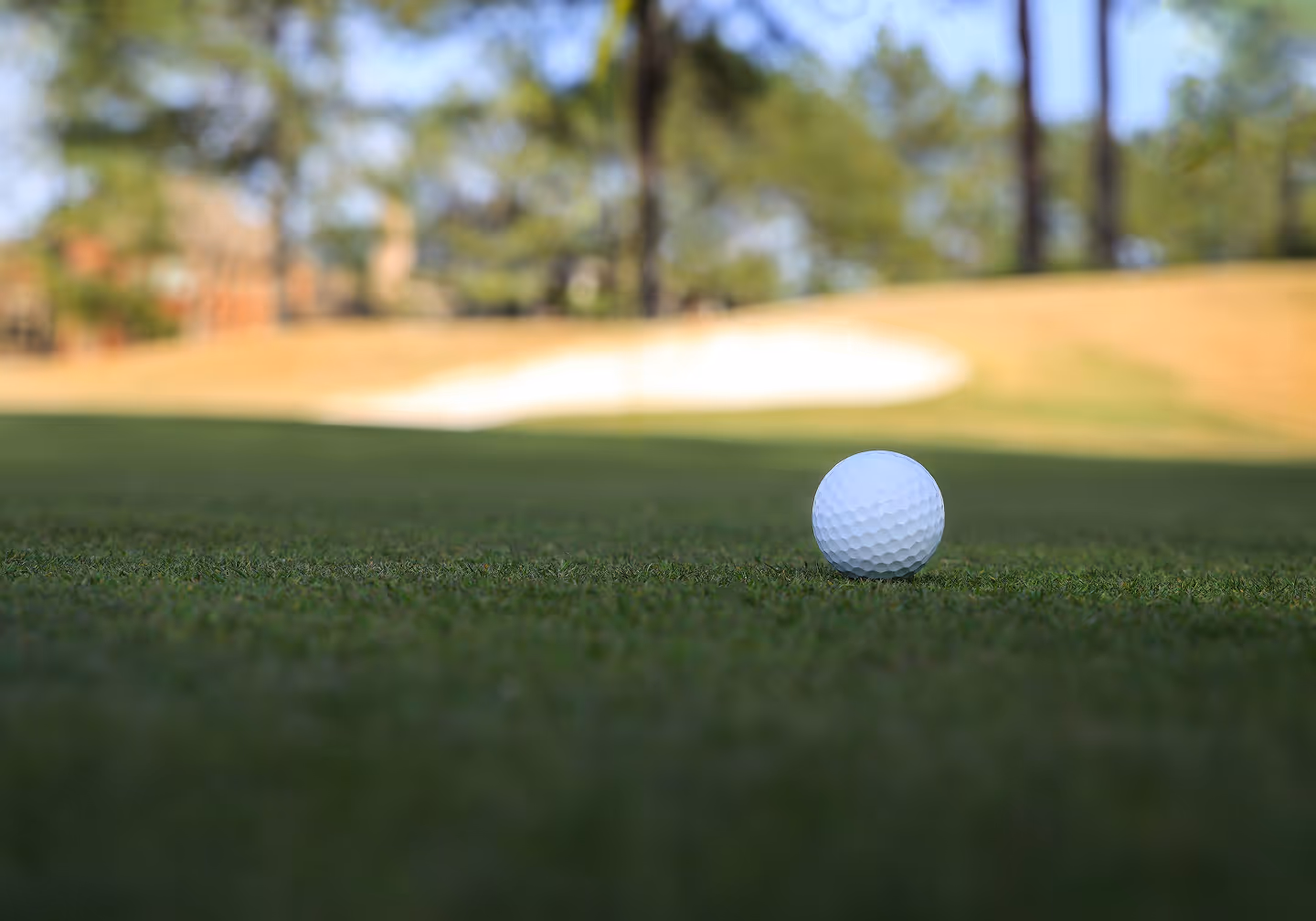 Close-up of a white golf ball on green grass with sand bunker and trees blurred in the background.