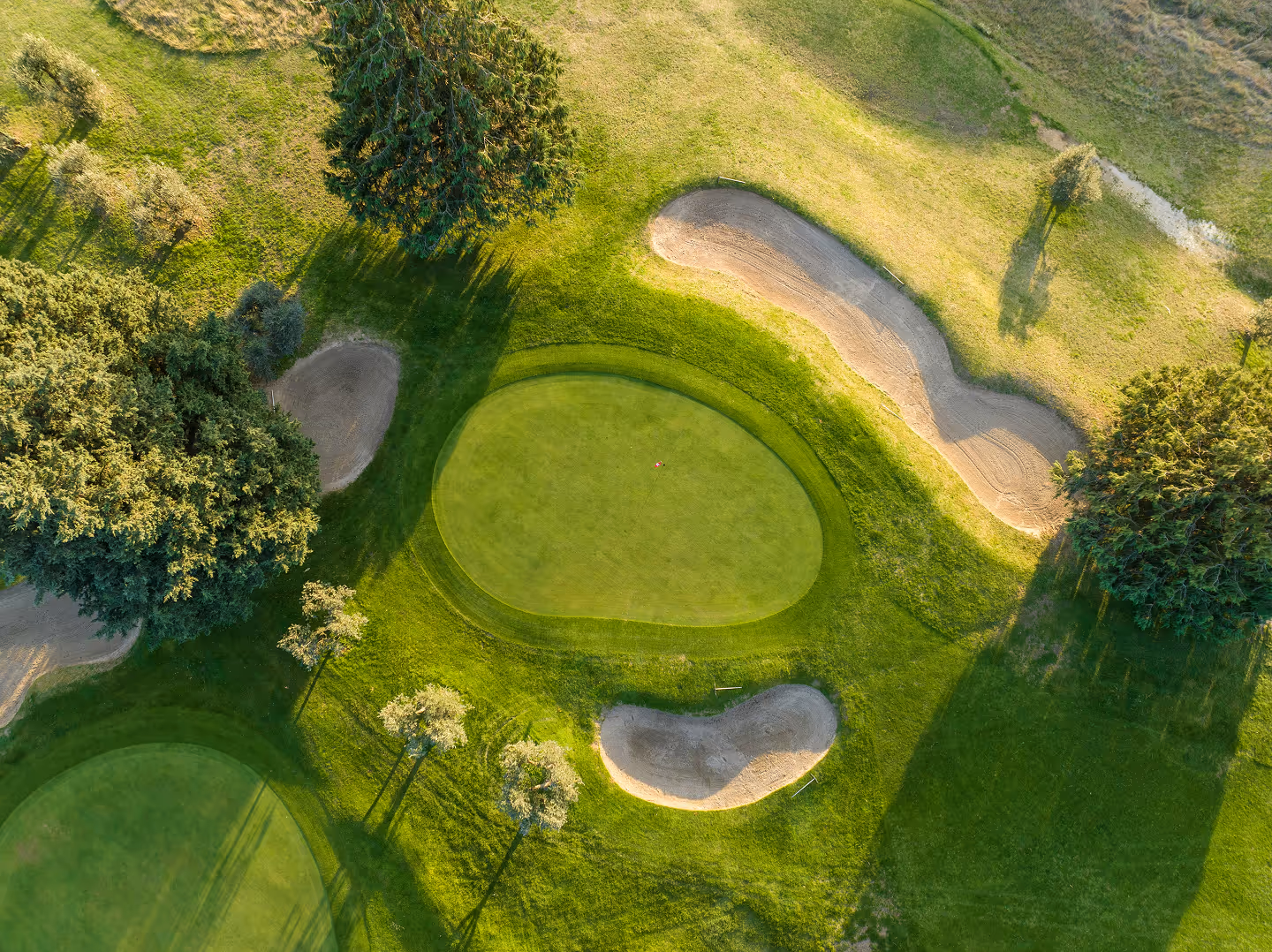 Aerial view of a golf green surrounded by sand bunkers and trees casting long shadows on the grass.