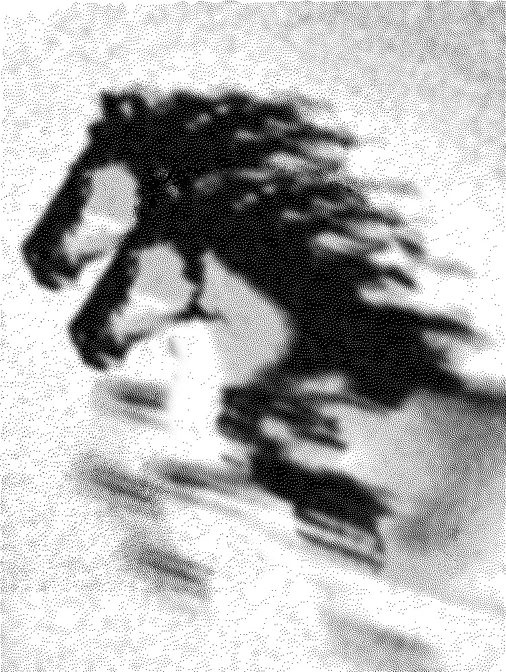 Dense halftone dot pattern forming a dark abstract animal-like silhouette on a light background — cgi studio Detroit, visual filler for Detroit's Insights section