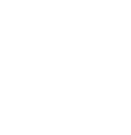 Logo PONT