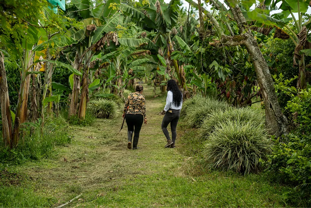 Two women walking down a grassy path lined with banana trees and dense greenery.